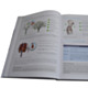 Buch: Training bei COPD + Atemtherapiegerät GeloMuc